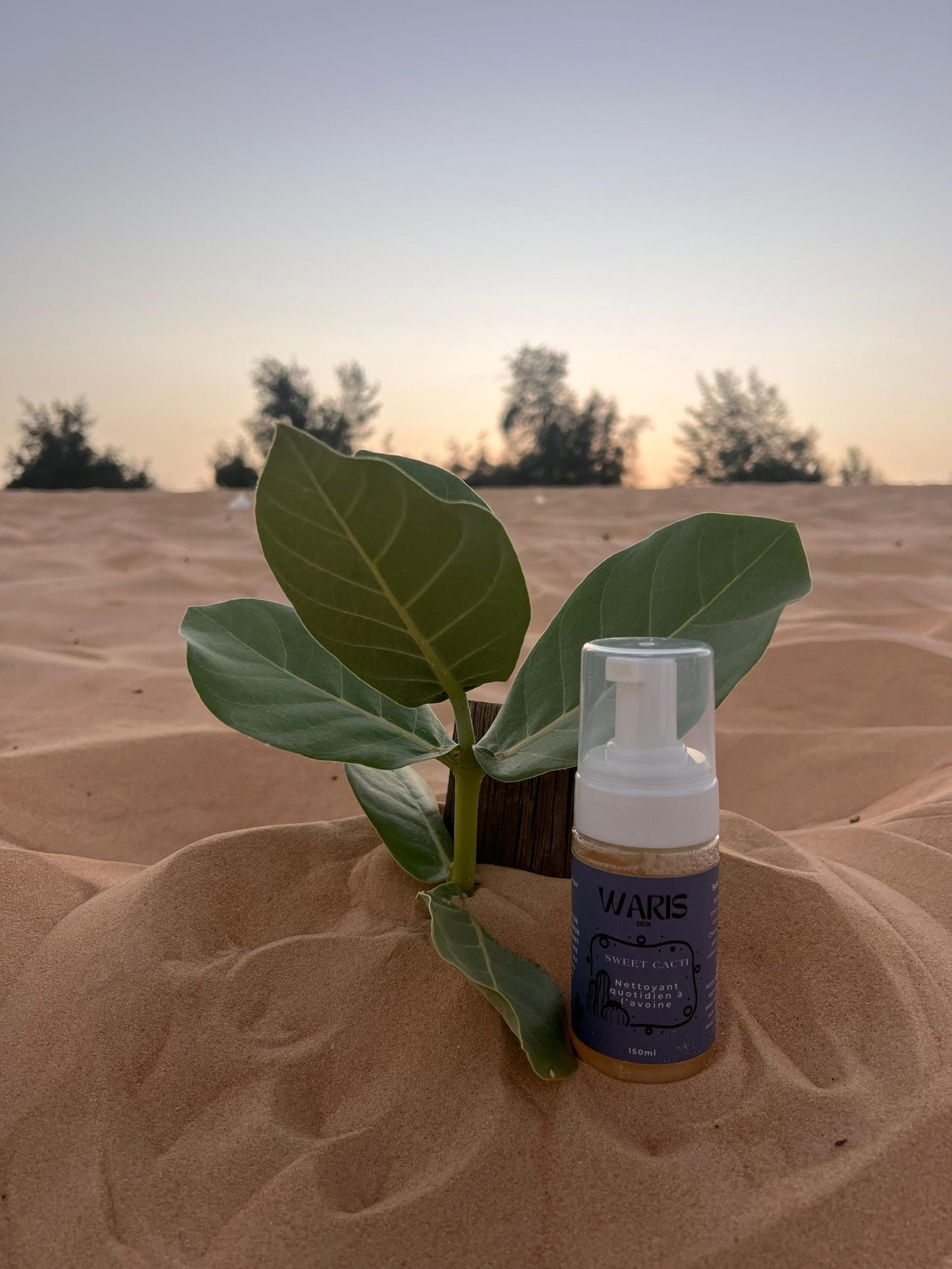 SWEET CACTI - Gel Nettoyant